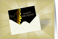 Happy Birthday Greeting Card in Envelope - Yellow Daisy card