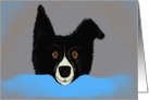 Hi There, Border Collie Card