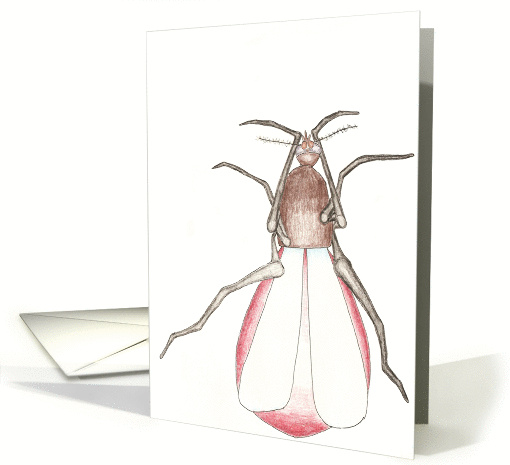 Mosquito Bite card (362726)