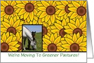 We’re moving Change of Address with horses and sunflower card