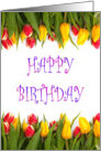 Happy Birthday with tulips Floral Birthday card