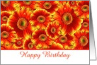 Happy Birthday with gerberas Floral Birthday macro card