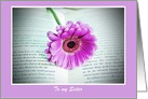Happy Birthday sister with gerbera in book Sister’s Birthday card