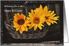 Happy birthday with sunflowers custom text card