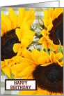 Happy birthday with sunflowers custom text card