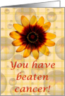 You have beaten cancer! - Cancer card