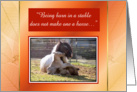 Jayne Pearman Holiday Card