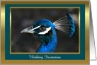 Peacock Wedding Invitation with dark teal custom card
