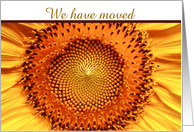 We have moved Change of Address with rustic sunflowers card