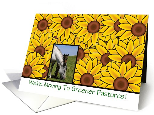 We're moving Change of Address with horses and sunflower card