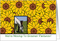 We’re moving Change of Address with horses and sunflower card