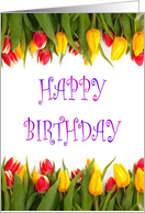 Happy Birthday with tulips Floral Birthday card