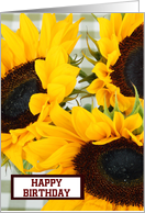Happy birthday with sunflowers custom text card