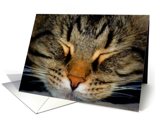 SLEEP TIGHT card (186254)
