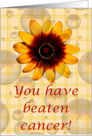 You have beaten cancer! - Cancer card