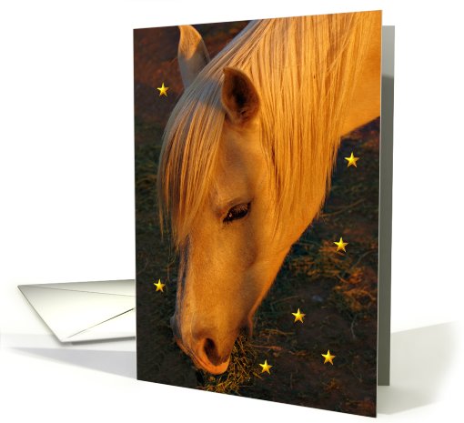 Horse Blank card (593819)