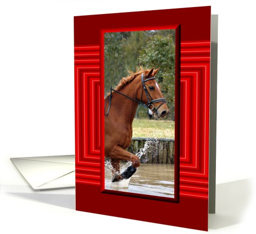 Horse Blank card (593822)