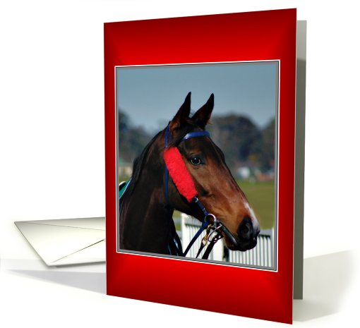 Horse Blank card (593832)