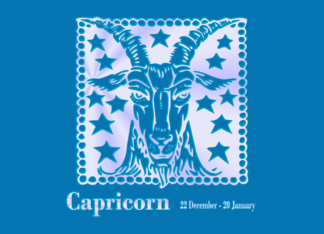 Capricorn December January Birthday