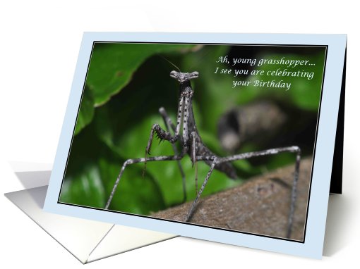 Young grasshopper wise praying mantis Happy Birthday... (682105)