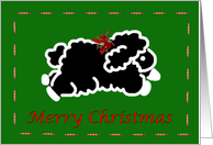 Black Lamb Merry Christmas season sheep black wool card