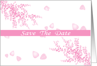 Save The Date cherry blossoms pink and white romantic spring colors card