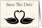 Save The Date with kissing swans card