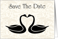 Save The Date with flowers and scrolls for Engagment card