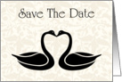 Save The Date with flowers and scrolls for Engagment card