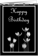 Happy Birthday with flowers scrolls card