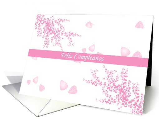 Feliz Cumpleaos Happy Birthday Spanish Birthday card (829627)