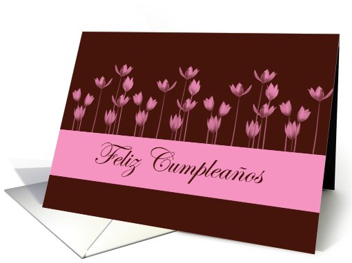 Feliz Cumpleaos Happy Birthday Spanish Birthday card (829628)