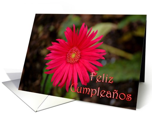 Feliz Cumpleaos Happy Birthday Spanish Birthday card (829636)