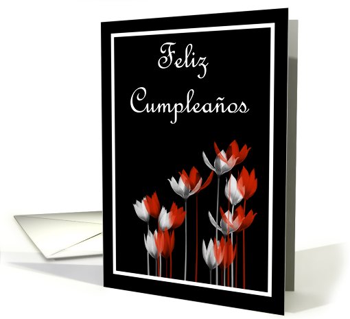 Feliz Cumpleaos Birthday Spanish Birthday card with flowers card
