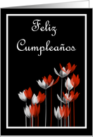 Feliz Cumpleaos Birthday Spanish Birthday card with flowers card