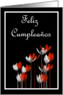 Feliz Cumpleaos Birthday Spanish Birthday card with flowers card