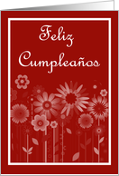 Feliz Cumpleaos Birthday Spanish Birthday card with floral scrolls card