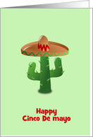 Happy Cinco De Mayo...