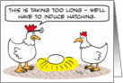 Chicken doctor induces hatching of egg. card