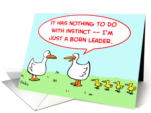 DUCKS card (222107)
