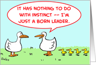 DUCKS card