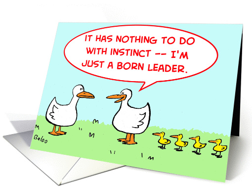 DUCKS Born leader Promotion card (222115)