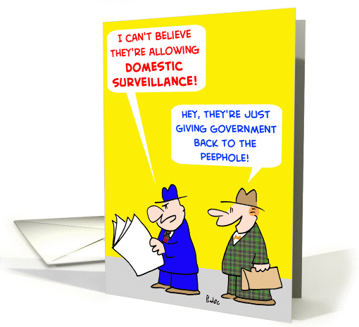 DOMESTIC SURVEILLANCE card (248857)