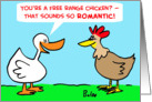 Free Range Chicken card