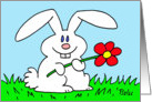 rabbit, flower, easter card