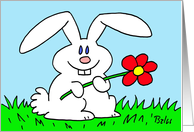 rabbit, flower, easter card
