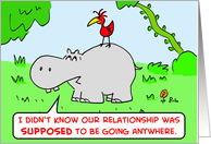 hippopotamus, bird, relationship card