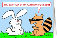 fluffiness, rabbit card