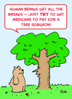 medicare paying for...