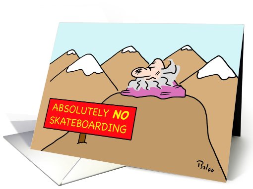 Absolutely no skateboarding card (737625)